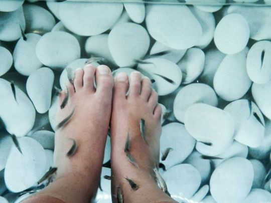 Рыбки Гарра Руфа (пиллинг)